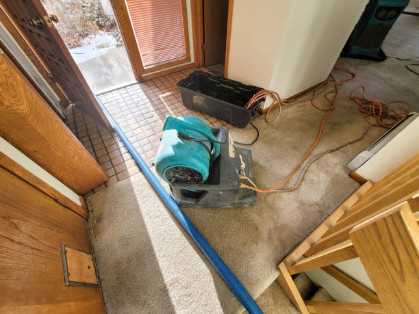 Best Water damage restoration near me  in Chandler, IN