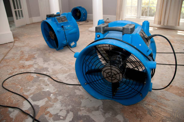 Best 24/7 water damage repair  in Chandler, IN