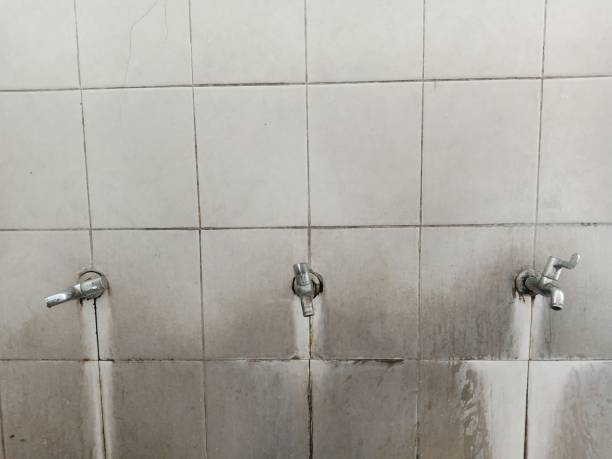 Best Water damage restoration process  in Chandler, IN