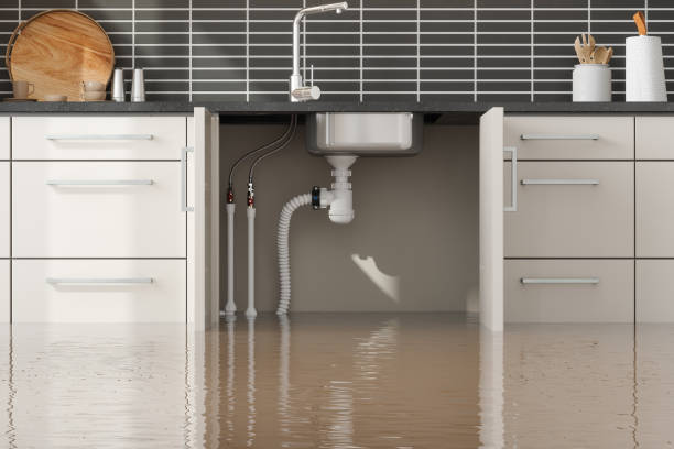 Best Emergency water damage restoration  in Chandler, IN