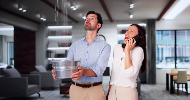 Best Local water damage restoration  in Chandler, IN