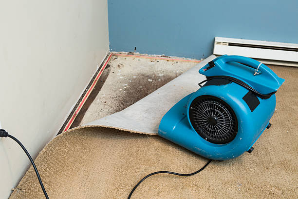 Best Flood restoration services  in Chandler, IN